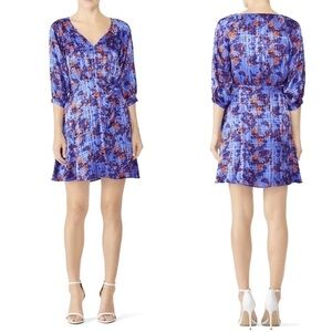 Tanya Taylor Fan Floral Natalia Dress